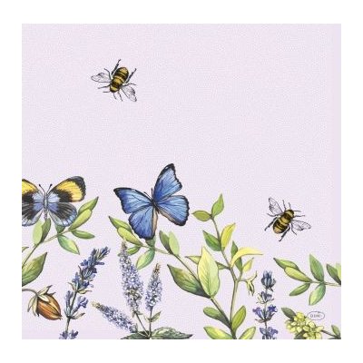 Dunisoft Ubrousek CHEERY BUTTER 40x40cm – Zboží Mobilmania