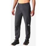 The North Face M AO WINTER REG TAPERED PANT – Zboží Mobilmania