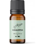 Essential 100 % Esenciální olej Eukalyptus 10 ml – Hledejceny.cz