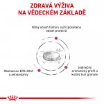 Royal Canin Veterinary Diet Cat Renal Feline 4 kg – Zboží Mobilmania