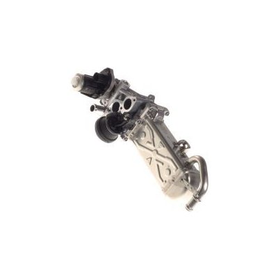 Chladič zpětného vedení spalin, EGR ventil Borgwarner Wahler 03L131512DQ Škoda Octavia 2, Superb 2, Yeti – Sleviste.cz