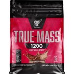 BSN True Mass 1200 4800 g – Zboží Dáma