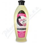 Nutricius Perfect Hair kofeinový šampon 550 ml – Hledejceny.cz