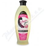 Nutricius Perfect Hair kofeinový šampon 550 ml – Hledejceny.cz