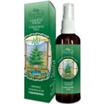 Hanna Maria Vánoční strom rozprašovač 50 ml – Hledejceny.cz