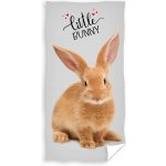 Carbotex Osuška 140 x 70 cm – Zboží Dáma