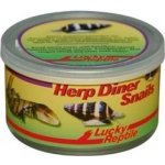 Lucky Reptile Herp Diner - šneci 35 g – Sleviste.cz