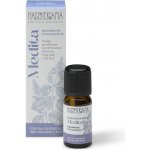 Nasoterapia směs esenciálních olejů Medita Meditace 10 ml – Hledejceny.cz