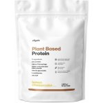Vilgain Plant Based Protein 1000 g – Hledejceny.cz