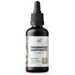 Troudnatec kopytovitý extrakt tinktura 50 ml – Hledejceny.cz