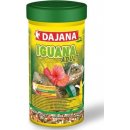  Dajana iguana adult 1000 ml