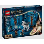 LEGO® Harry Potter 76432 Zakázaný les: kouzelná stvoření – Zboží Dáma