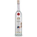 Fleret Collection 1850 Slivovice 50% 0,7 l (holá láhev) – Zboží Dáma