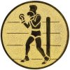 Sportovní medaile Bojové sporty emblém LTK079M