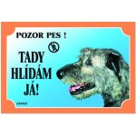 Dafiko Tabulka Irský vlkodav – Hledejceny.cz