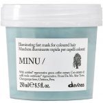 Davines Minu Hair Mask 250 ml – Zboží Dáma
