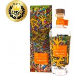 Raspenava Meruňkovice 48% 0,5 l (holá láhev) – Zboží Dáma