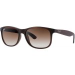 Ray-Ban RB4202 6073 13 – Hledejceny.cz