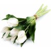 Květina Prima-obchod Umělá kytice tulipán, barva 1 bílá