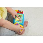 Fisher-Price Zábavná herní konzole CZ/SK/ENG/HU/PL HNN39 – Zbozi.Blesk.cz