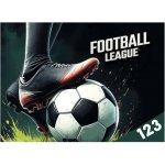 MFP Desky na číslice Fotbal – Hledejceny.cz