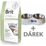 Brit Veterinary Diets Cat GF diabetes 5 kg – Hledejceny.cz