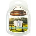 Chestnut Hill Candle Vonný Vosk Clean Tees 105 g – Hledejceny.cz