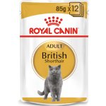 Royal Canin British Shorthair Adult 85 g – Zboží Mobilmania