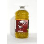 Hyalgel Horse jablko 5 l – Hledejceny.cz