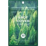 SKIN 1004 CO.LTD Spot Cover Patch 22 ks – Sleviste.cz