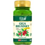 VitaHarmony Giga Brusinky 7.700 mg 150 tablet – Sleviste.cz