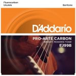 D'addario EJ99B – Sleviste.cz