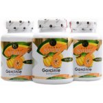 Golden Nature 2+1 Garcinie kambodžská 50% HCA 300 kapslí – Hledejceny.cz