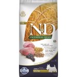 N&D Ancestral Grain Adult Mini Lamb & Blueberry 7 kg – Zbozi.Blesk.cz