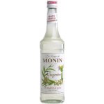 Monin Ginger 1 l – Zbozi.Blesk.cz