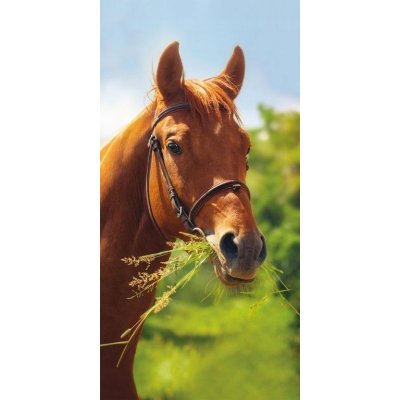 Detexpol Osuška Kůň 70 x 140 cm – Zboží Dáma