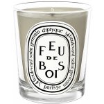 Diptyque Feu de Bois 190 g – Zboží Mobilmania