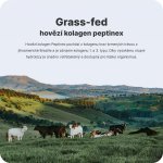 Vilgain Kolagen komplex jahoda a banán 300 g – Hledejceny.cz