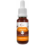 Aromaterapie KH Ušní olej Candiear při výskytu kvasinek 20 ml – Zboží Mobilmania