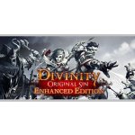 Divinity: Original Sin (Enhanced Edition) – Zbozi.Blesk.cz