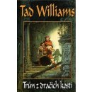 Kniha Trůn z dračích kostí - Williams Tad