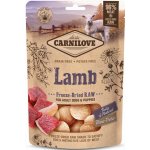 Carnilove Raw Freeze Dried Snacks Lamb 60 g – Sleviste.cz