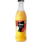 Cappy Jablko 100% sklo 24 x 250 ml – Zboží Dáma