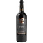 Varvaglione 12 e Mezzo Malvasia Nera del Salento IGP 202 12,5% 0,75 l (holá láhev) – Hledejceny.cz