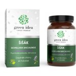 Green idea Šišák bylinný extrakt 60 tablet – Hledejceny.cz