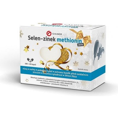 VB GAL Selen-Zinek-Methion. forte 100+20 tablet