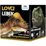 Albi Lovci lebek Pachycephalosaurus – Zboží Dáma