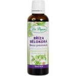 Dr. Popov Bylinné kapky Bříza bělokorá 50 ml – Hledejceny.cz