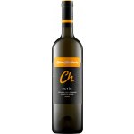 Chateau Topoľčianky Noir Devín 12,5% 0,75 l (holá láhev) – Hledejceny.cz