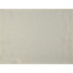 Eurofirany 4 KS Prostírání Daga 40X30cm – Zboží Mobilmania